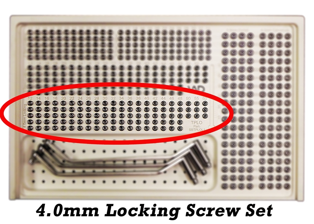 Locking & AO Screw Box 4.0 Locking Screws